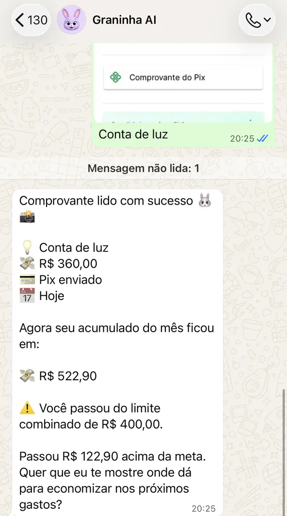 Conversa real: usuário envia foto de comprovante Pix de R$ 360,00 e o Graninha lê e registra como Conta de luz